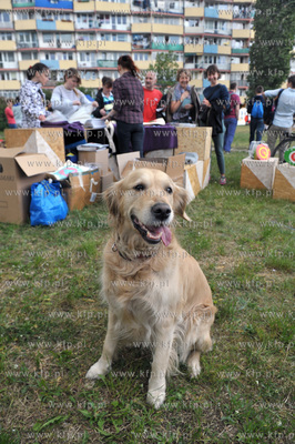 Streetwaves czyli artystyczna akcja miejska w Gdansku...