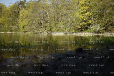 Sopockie Morskie Oko czyli Staw Nowowiejskiego malowniczy...