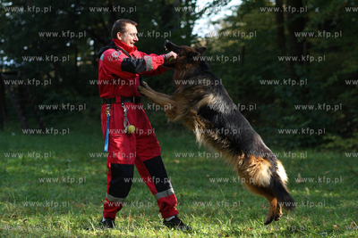 Gdynia Kolibki. Ćwiczenia ratowników Grupy Ratownictwa...