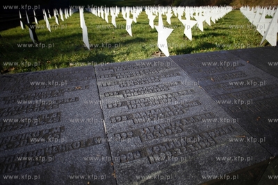Cmentarz zolnierzy radzieckich w Gdansku. 31.10.2013...