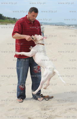 Przemyslaw Saleta ze swoim psem Milky Way, 8-miesieczna...