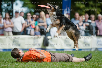 Sopot. Lazienki Polnocne. Trzecia kwalifikacja Dog...