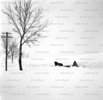 Zima w okolicach Zukowa na Kaszubach. Na drodze pośród...