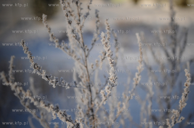 Gdansk Ujescisko. Zimowy, pelen sniegu krajobraz.
14.01.2010
fot....