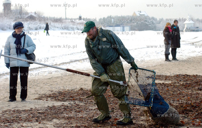 Ustka
W Ustce rozpoczal sie sezon polawiania bursztynu....