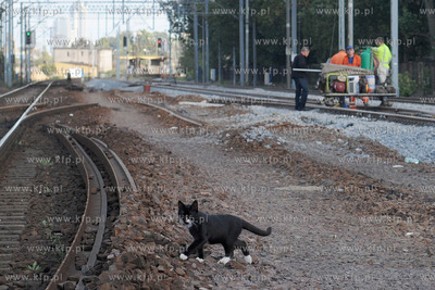 Trzy razy w ciagu minionych dwoch tygodni kradziono...