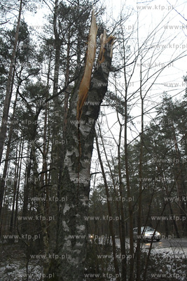 Trwa szacowanie szkod wyrzadzonych przez ostatnie wichury...
