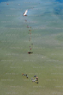 Marsz Sledzia odbywa sie Rybitwia Mielizna (Rewa Mew)...