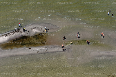 Marsz Sledzia odbywa sie Rybitwia Mielizna (Rewa Mew)...