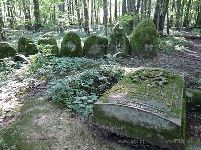 Leśny cmentarz koło Markowa na Warmii. Miejsce, gdzie...