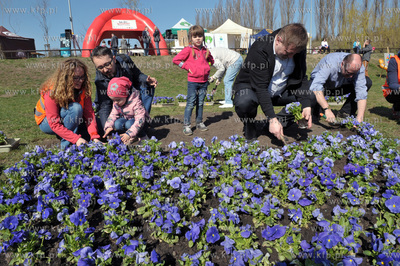 Gdansk Chelm, Jar Wilanowski. Akcja: Wielkie sprzatanie...