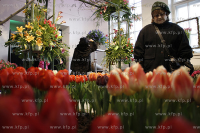 Gdansk.Wystawa Ogrod Kulturalny - Holandia, na ktorej...