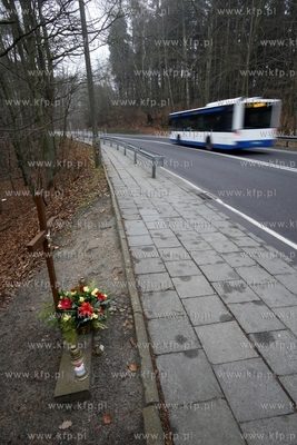 Niebezpieczny zakret przy ul. Malczewskiego w Sopocie.
30.12.2013
fot....