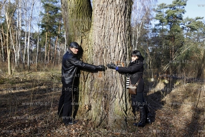 Wycinka drzew na terenie bylego Wojskowego Osrodka...