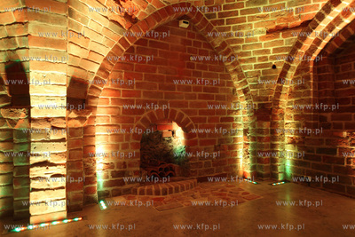 Uroczyste otwarcie Piwnicy Romanskiej z XIIIw., ktora...