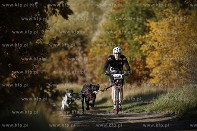 Gdańsk. Park Reagana. Pucharu Polski Psich Zaprzęgów...