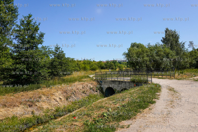 Teren przez które poprowadzona ma być trasa Nowa...