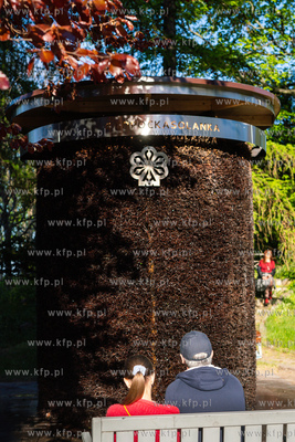 Muzeum Sopotu - ogród. Otwarcie tężni solankowej...