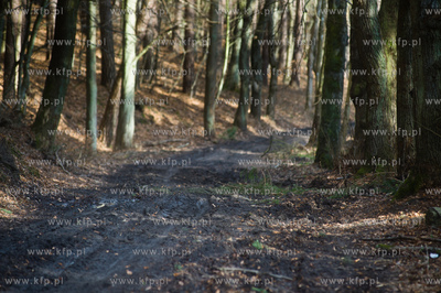 Gdansk. Oliwa, Trojmiejski Park Krajobrazowy. Sciezka...