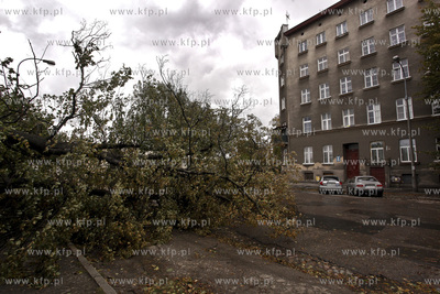 Sztormowa pogoda w Gdansku. Powalone drzewo przez wiatr...