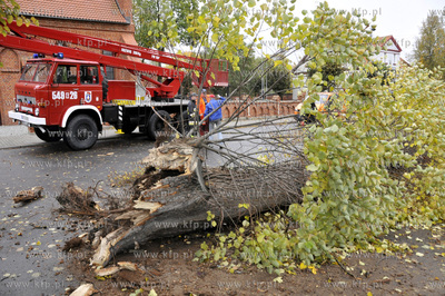 Polamane drzewa, przygniecione auta, zniszczone dachy...