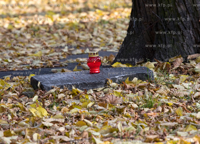 Gdansk. W parku przy ul.Bema  pomiedzy ul. Kartuska...