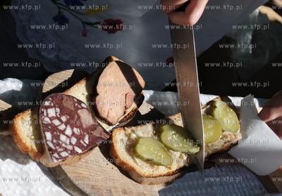 Plac Kuracyjny przy molo w Sopocie. Lesny Festyn Edukacyjny...