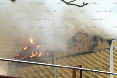 Pozar jeden z hal produkcyjnych, gdzie przechowywane...