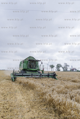 Żniwa we wsi Lignowy w powiecie Tczewskim na Kociewiu.
30.07.2019...