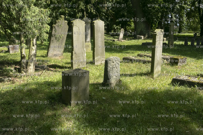 Największy w Polsce, wpisany w 1988 roku do rejestru...