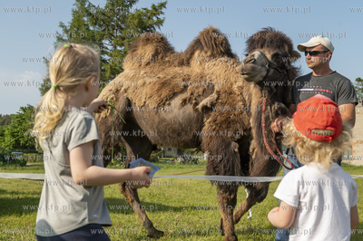 Dobrzewino, wieś na Kaszubach w powiecie wejherowskim....
