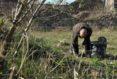 Prace porzadkowe na polnocnej czesci Wyspy Spichrzow...