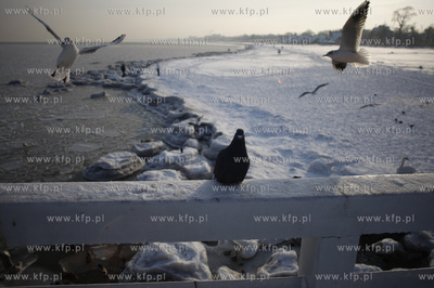 Sopot. Molo .
28.12.2010
fot.Krzysztof Mystkowski...
