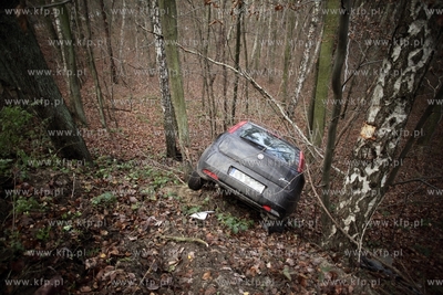 Sopot.Ul.Malczewskiego. Fiat Punto wypadl z drogi....