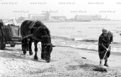 Czyszczenie plazy w Gdyni. 4Maj1983_z.kosycarz_p33...