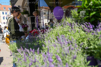 Gdańsk. Święto ulicy Lawendowej. 14.04.2025 fot....