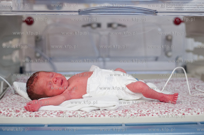 Gdansk. Szpital Kliniczny, Instytut Poloznictwa i Chorob...