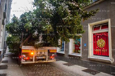 Gdansk. Dlugi Targ. Operacja stawiania swiatecznej...