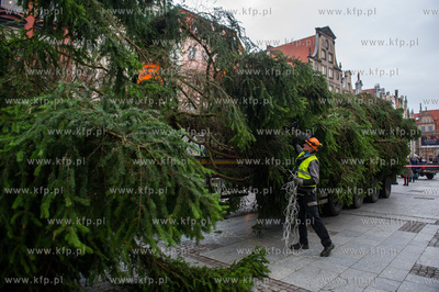 Gdansk. Dlugi Targ. Operacja stawiania swiatecznej...
