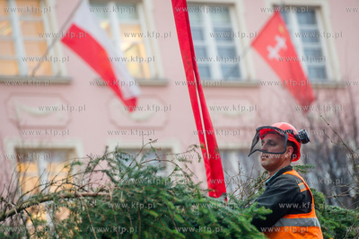 Gdansk. Dlugi Targ. Operacja stawiania swiatecznej...
