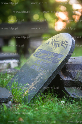 Gdańsk. Lapidarium w parku Akademickim. 17.07.2017...