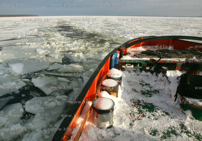 Szczecin. Wspolna akcja polskich ( Dzik, Lis, Swistak...