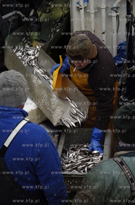 Ustka
Rybacy z kutra UST-203 w czasie jednego z ostatnich...