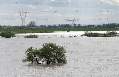 Drewnica okolice sluzy Glowa Gdanska Nz  Podnoszacy...