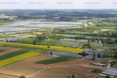 Rzeka Nogat po wiosennej powodzi.
28.05.2010
fot....