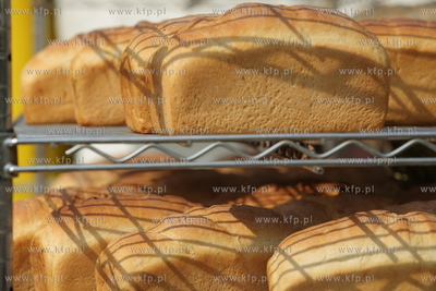 Jarmark sw. Dominika. Swieto chleba. 28.07.2013 fot....