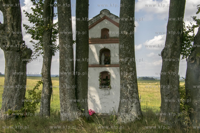 Wieś Wapnik na Warmii. Przy polnej drodze w kierunku...