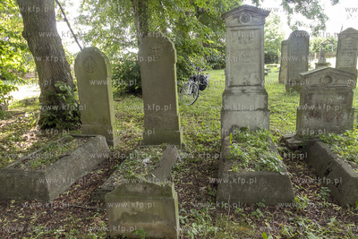 Największy w Polsce, wpisany w 1988 roku do rejestru...