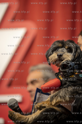 46. Festiwal Polskich Filmów Fabularnych w Gdyni....