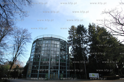 Palmiarnia w Parku Oliwskim. 04.01.2013 fot. Krzysztof...